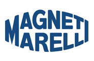 Clientes-brauch-magnetimarelli